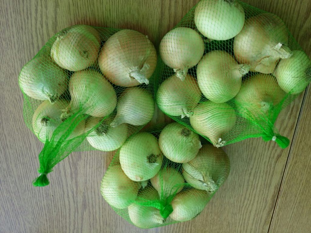 Yellow Onion