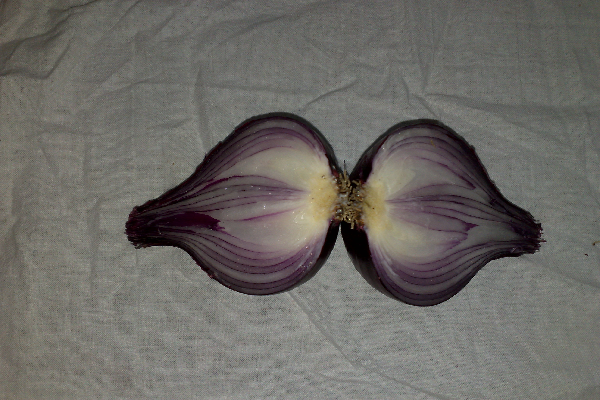 red onion2