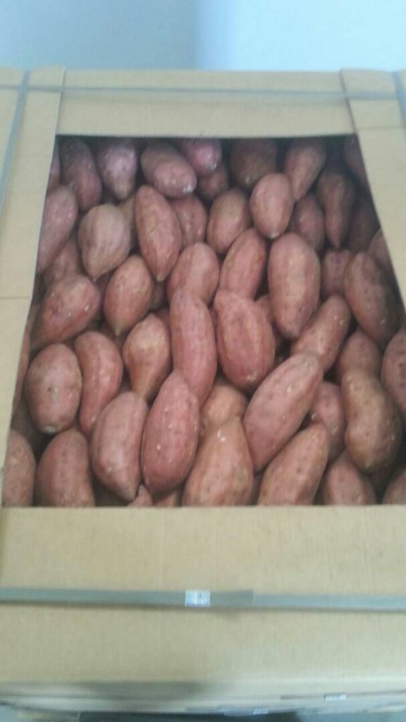 Sweet Potato